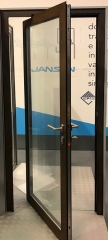 Steel Pivot Door